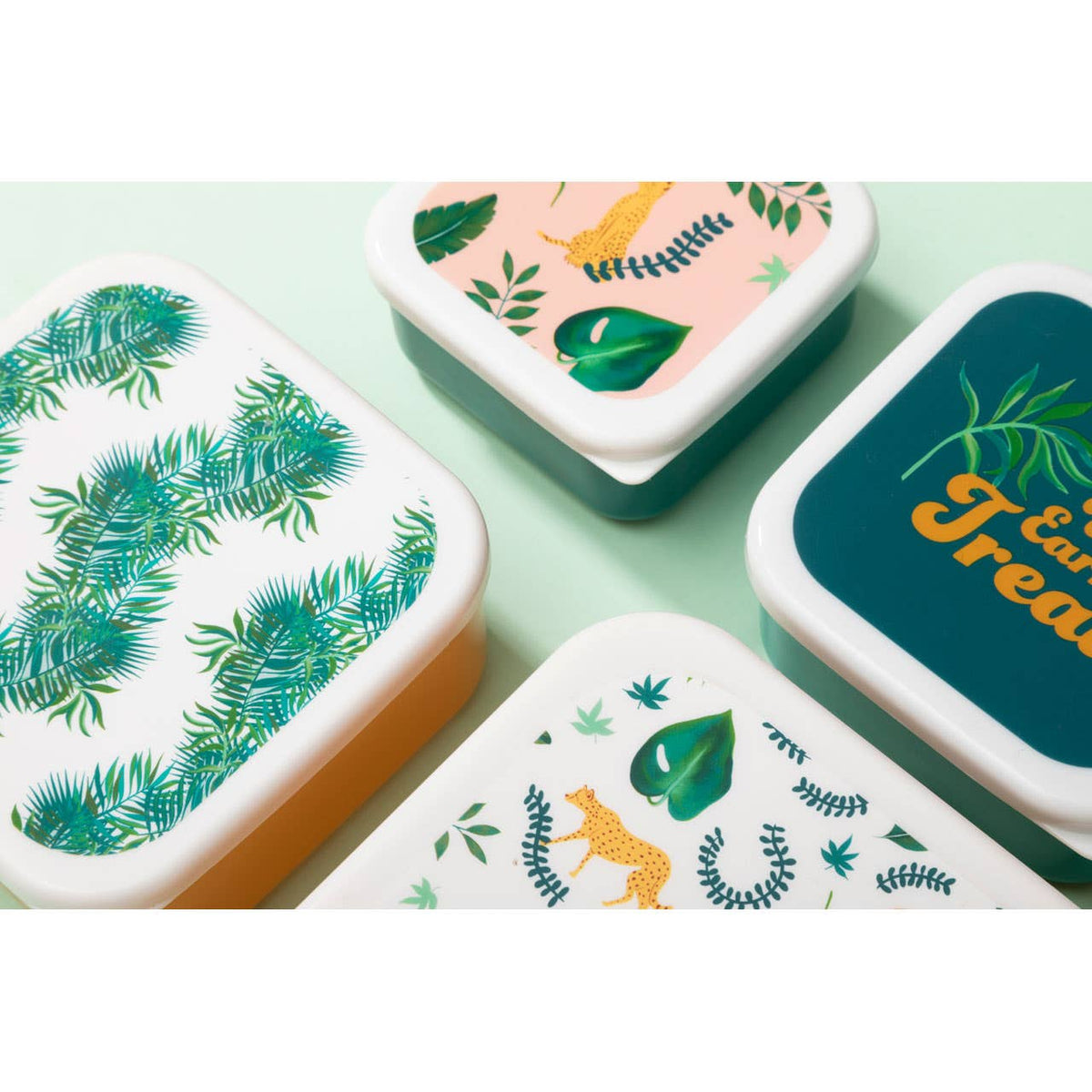 Mimo Set Of 4 Winter Palm Lunch Boxes