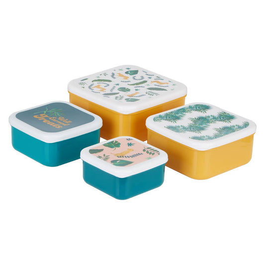 Mimo Set Of 4 Winter Palm Lunch Boxes