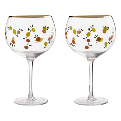 Mila Set Of 2 Citrus Design Gin Glasses