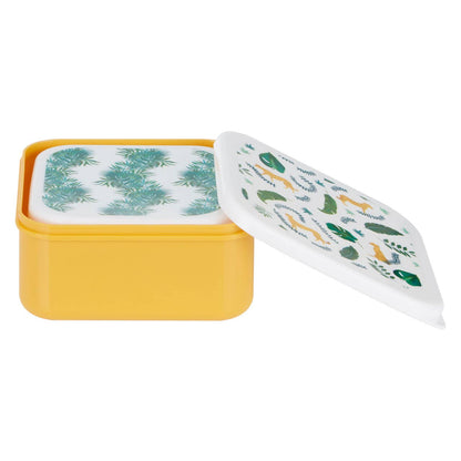 Mimo Set Of 4 Winter Palm Lunch Boxes