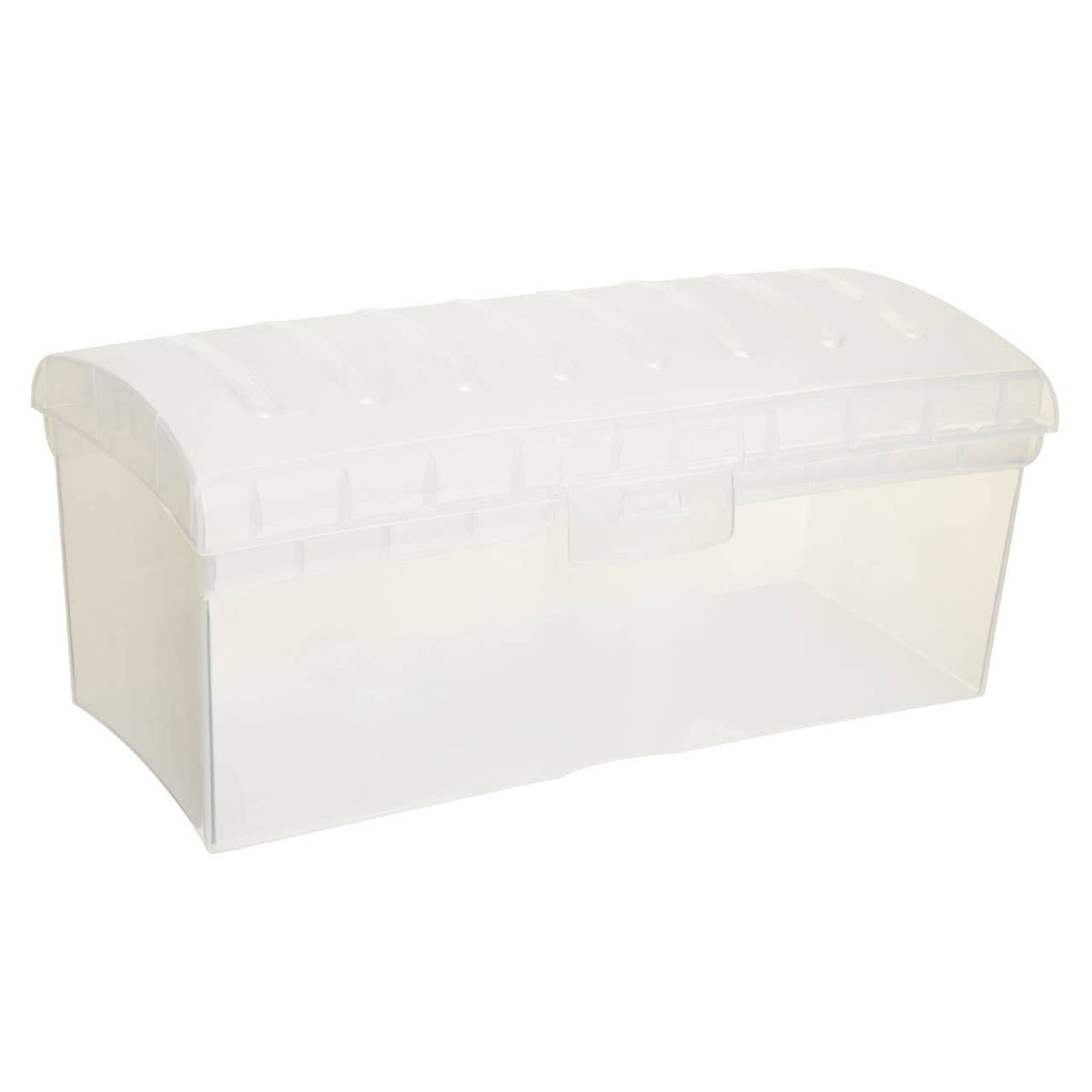 Daily Clear Bread Storage Container