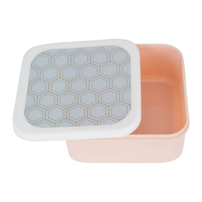 Frosted Deco Set of 4 Snack Boxes