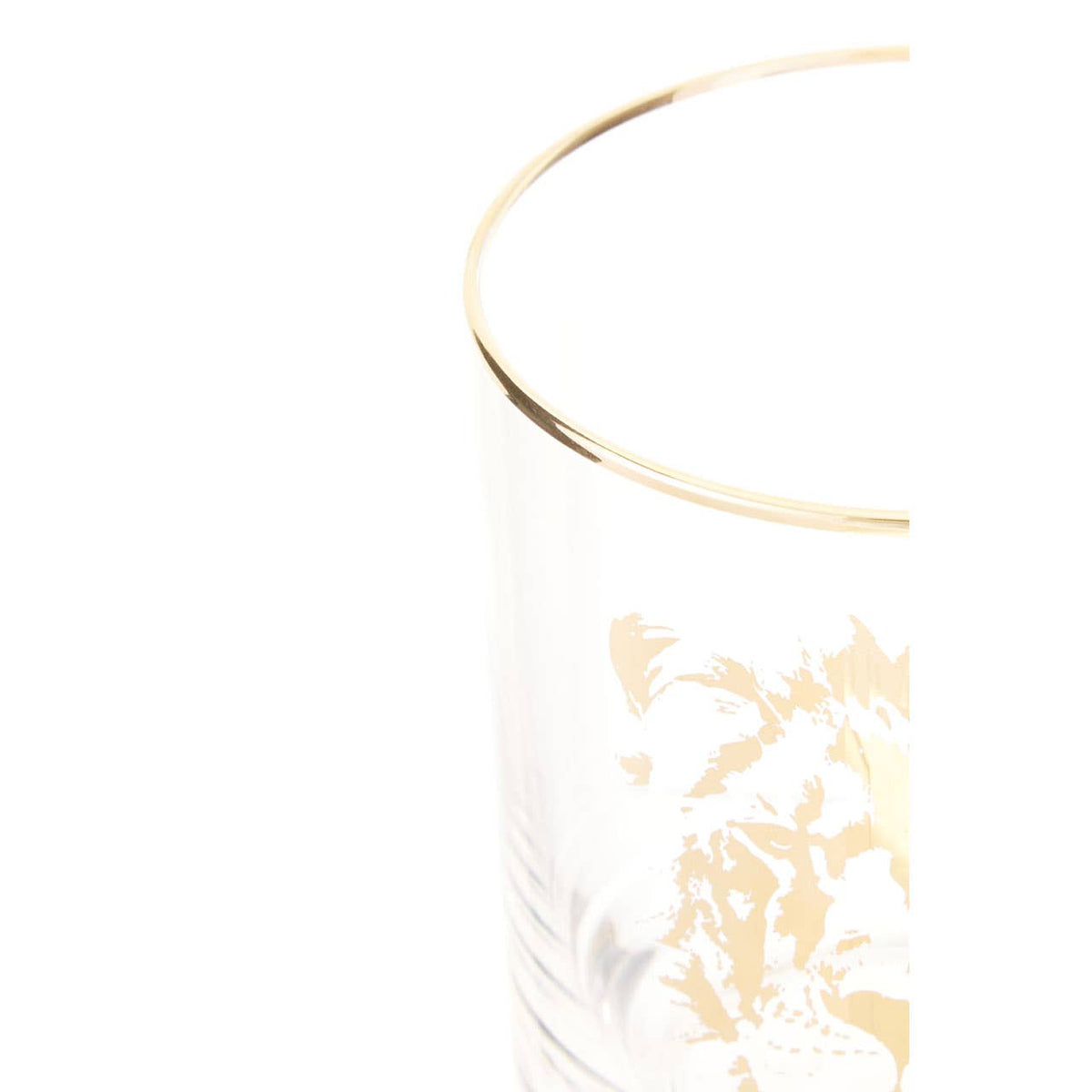 Nomi Lion Tumbler