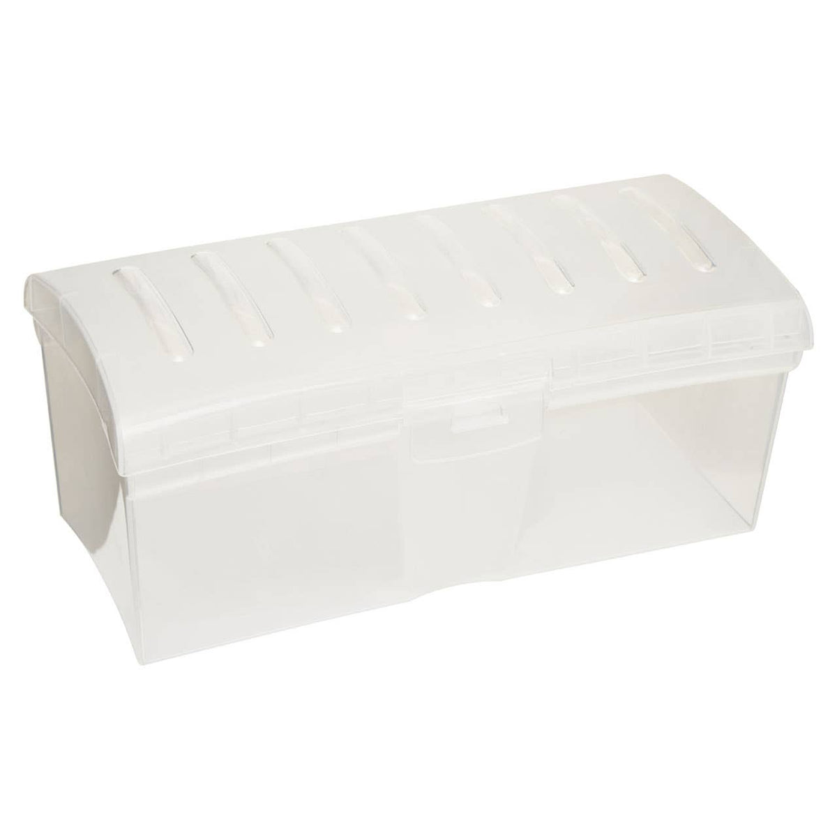 Daily Clear Bread Storage Container