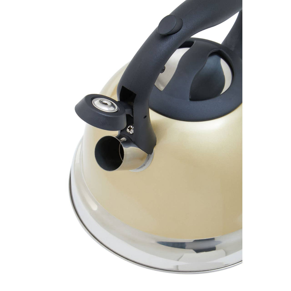 Zion 3 Ltr Whistling Kettle - Light Gold