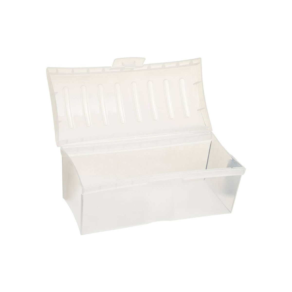 Daily Clear Bread Storage Container