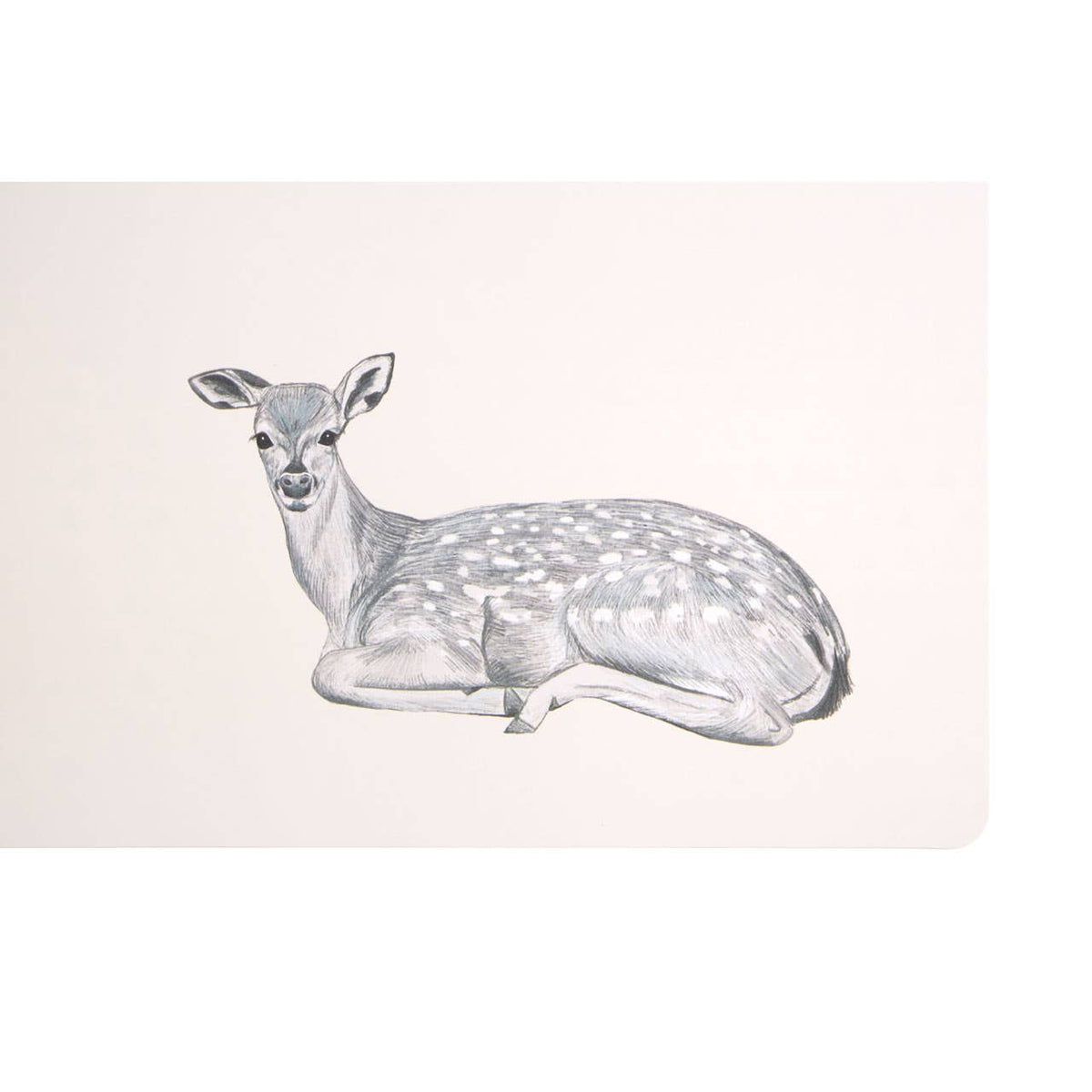 Effy Set Of Two Mini Forest Placemats And Coasters