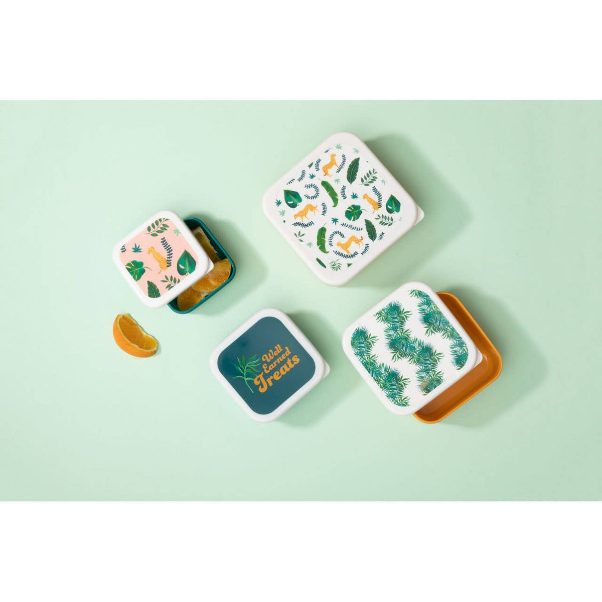 Mimo Set Of 4 Winter Palm Lunch Boxes