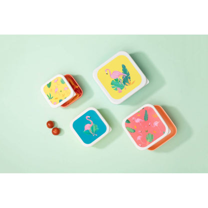 Mimo Set Of 4 Flamingo Lunch Boxes