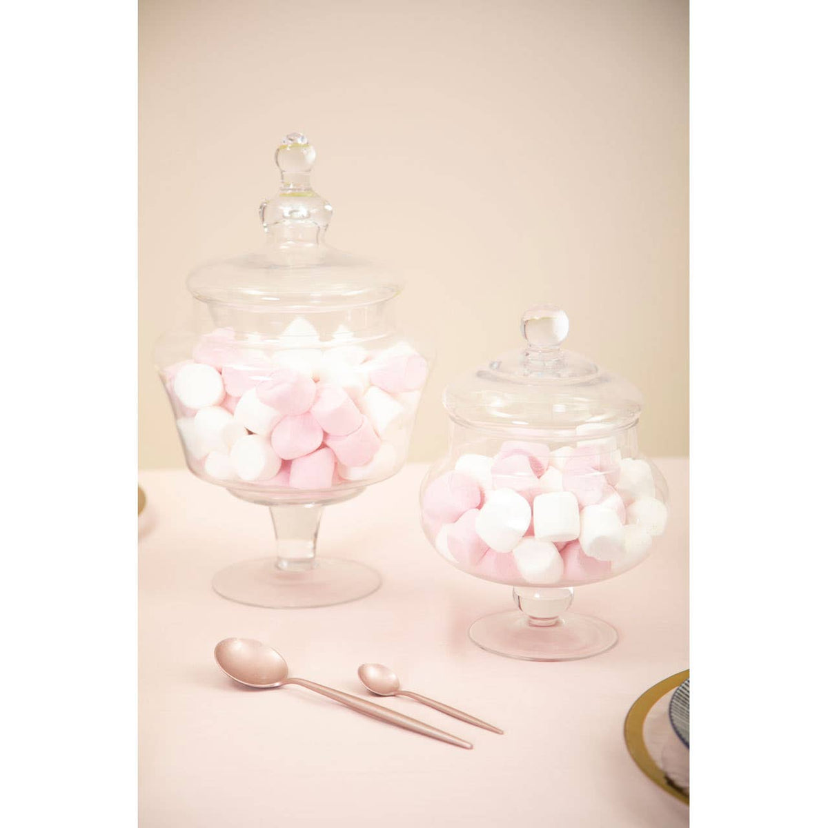 Olivia Clear Glass Candy Large Storage Jar