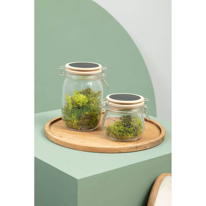 Appert Medium Storage Jar with Pine Wood Lid