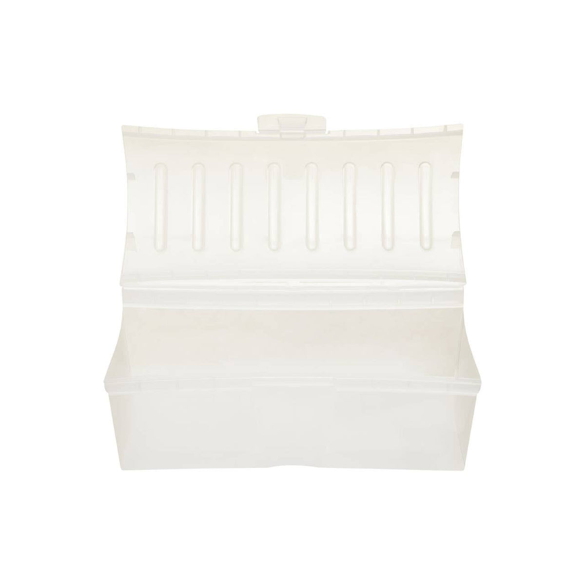 Daily Clear Bread Storage Container