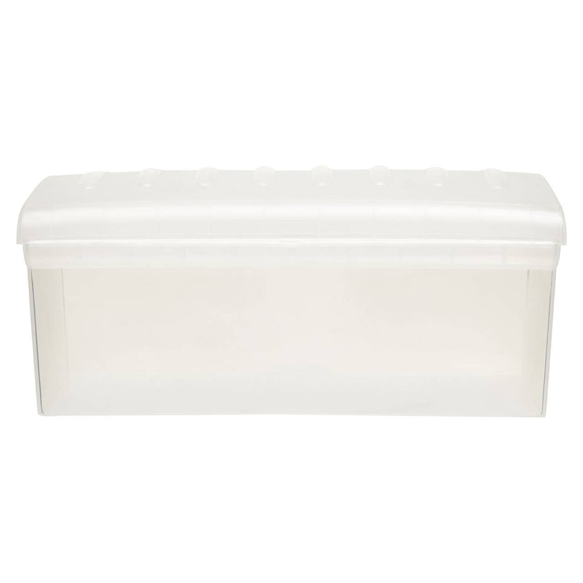 Daily Clear Bread Storage Container