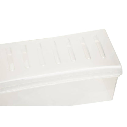 Daily Clear Bread Storage Container