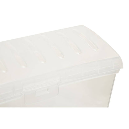 Daily Clear Bread Storage Container