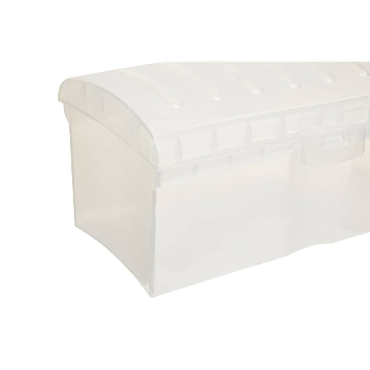 Daily Clear Bread Storage Container