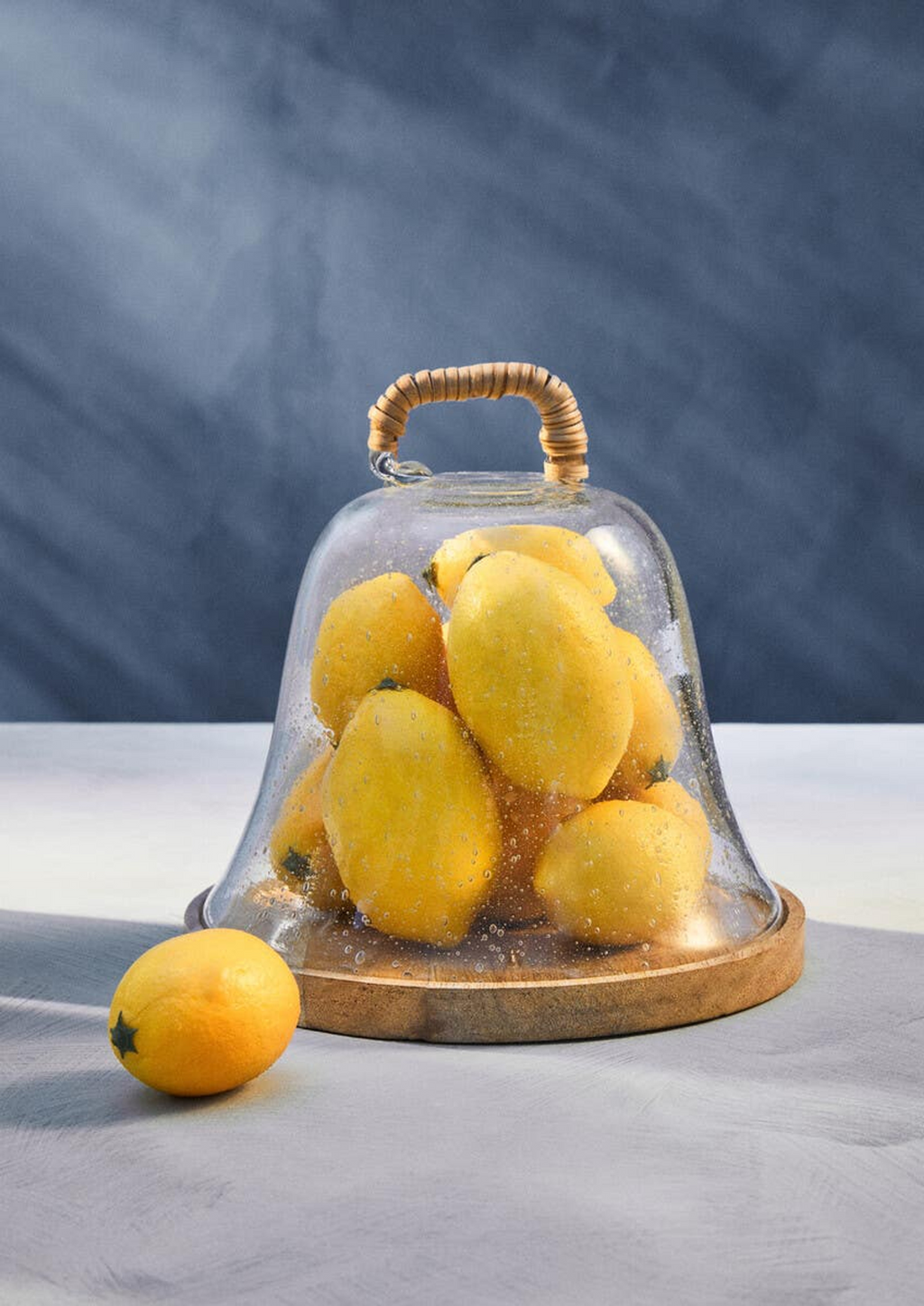 Cook Nook Garner Glass Cheese Dome with Mango Wood Base