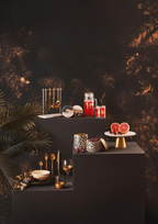 Cook Nook Set Of Four Astrid Glass Tumblers